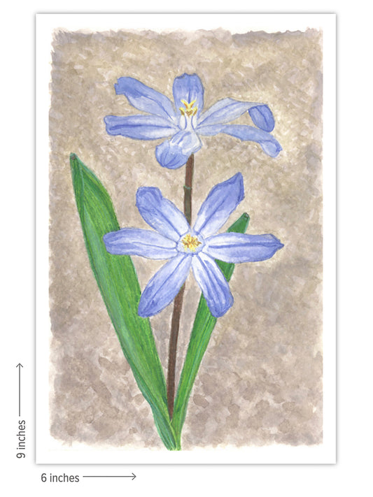 Glory of the Snow - Giclee Art Print