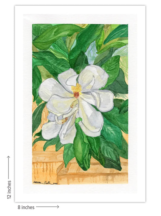 Magnolia - Giclee Art Print