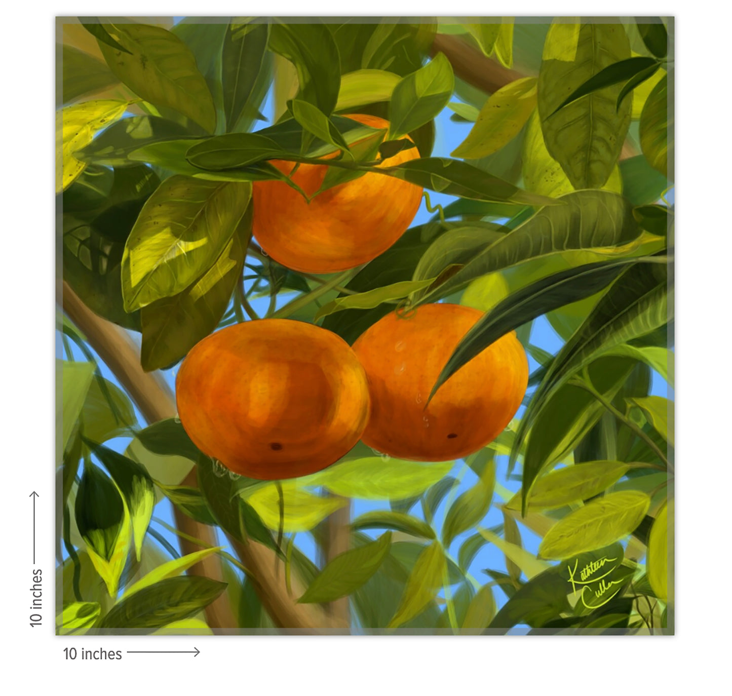 Oranges - Giclee Art Print