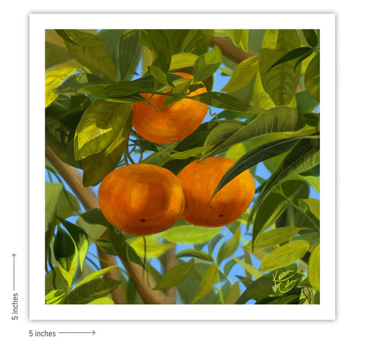 Oranges - Giclee Art Print