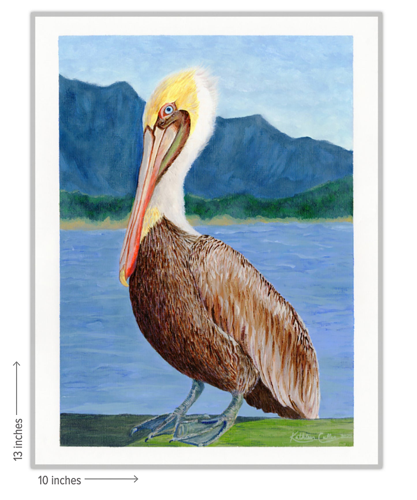 Pinocchio Pelican - Giclee Art Print
