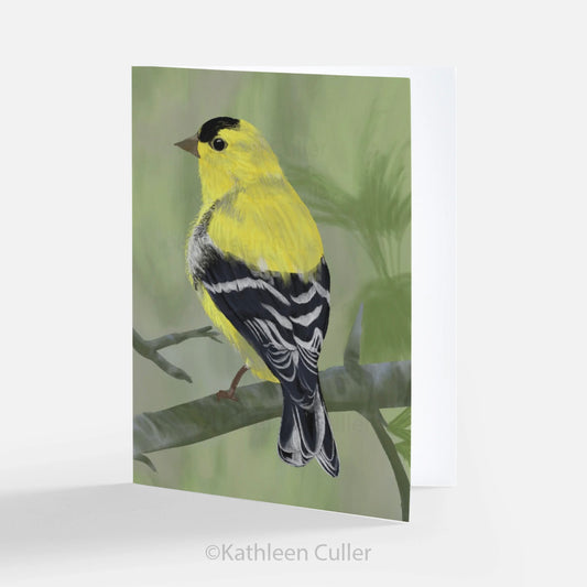 American Goldfinch - Art Note Card