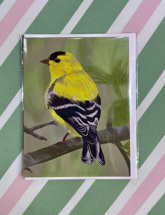 American Goldfinch - Art Note Card