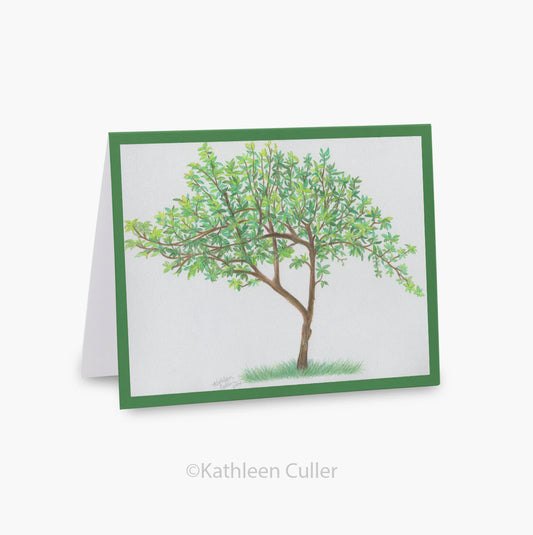 Dad’s Apple Tree - Art Note Card