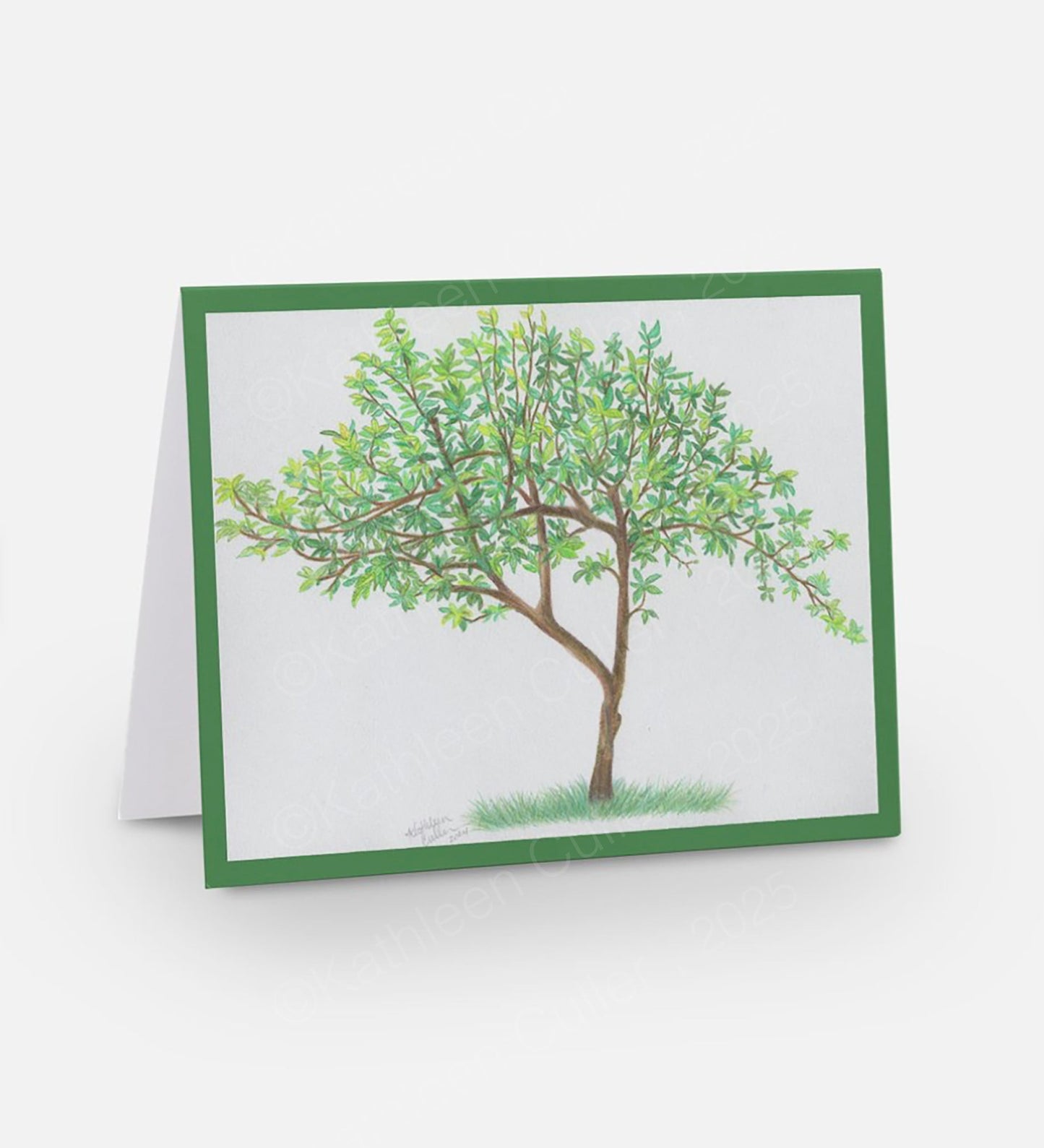 Greeting card with a tree illustration on a white background