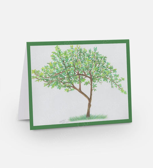 Greeting card with a tree illustration on a white background
