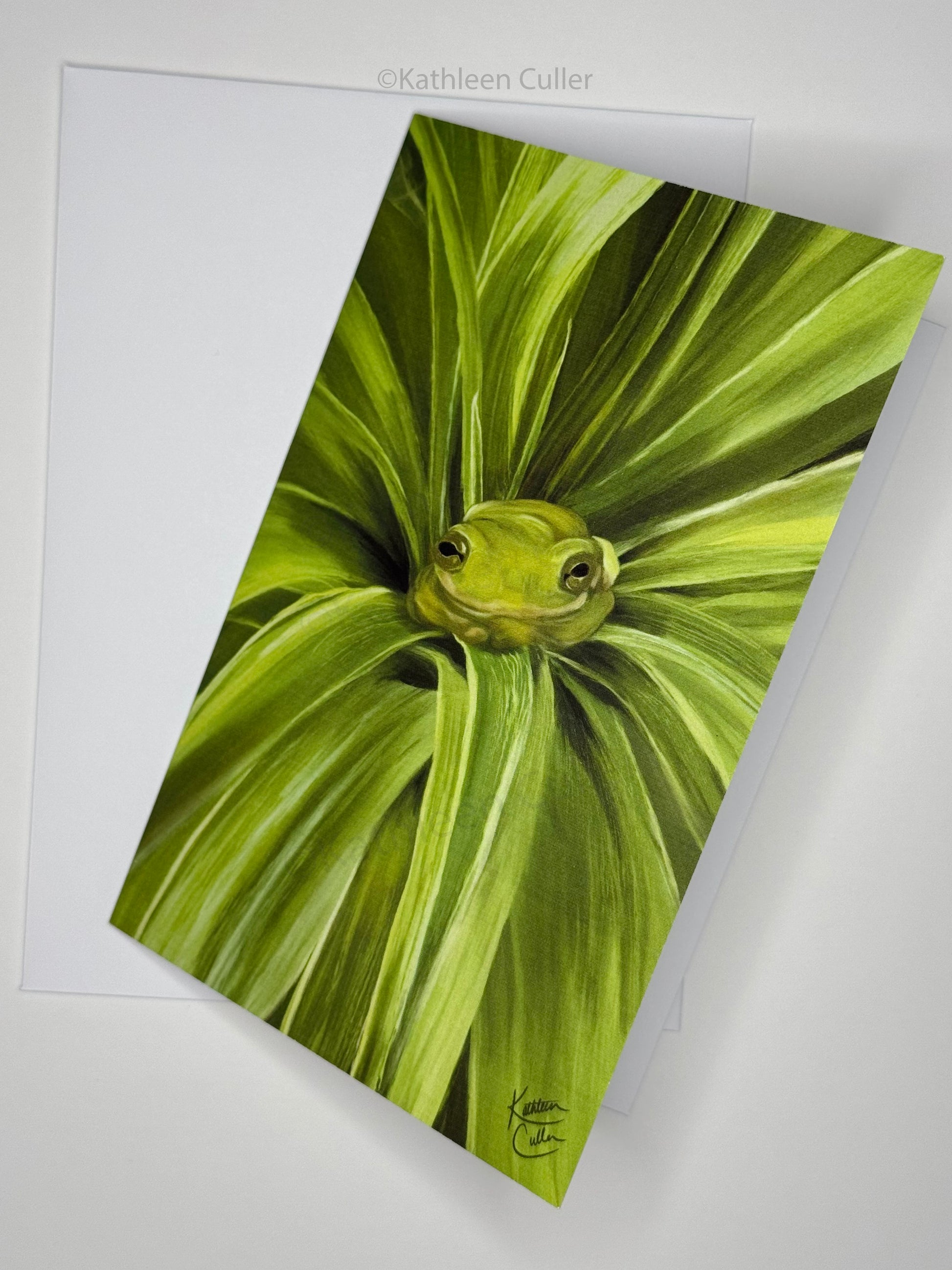 Greeting card with artwork of a green frog on a leaf with a white envelope.