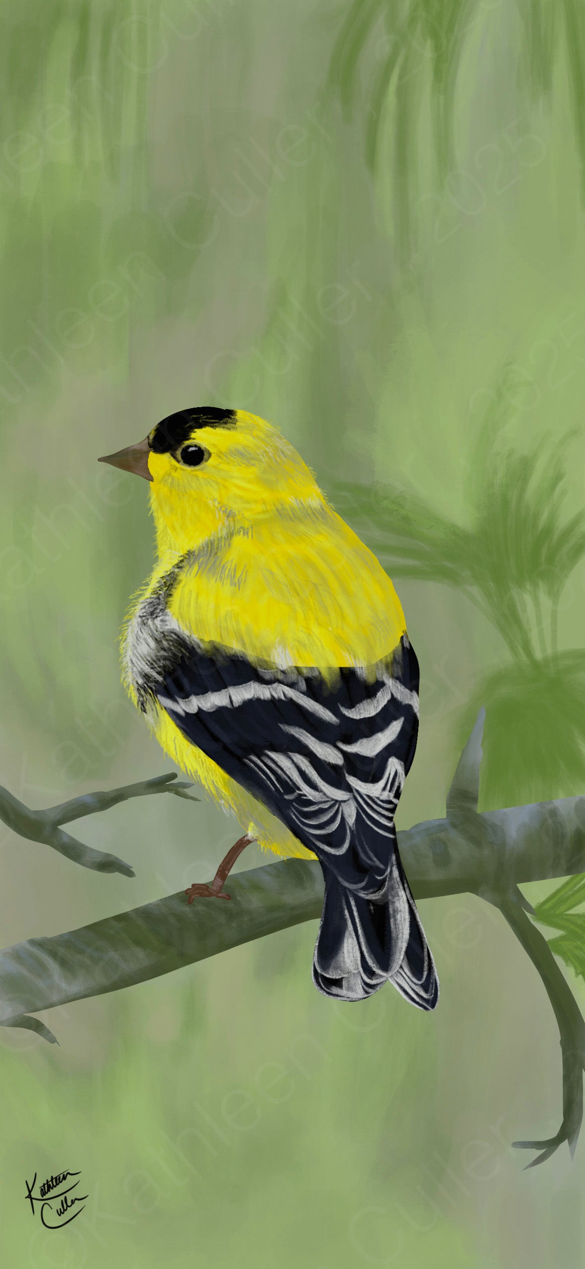 American Goldfinch - Giclee Art Print