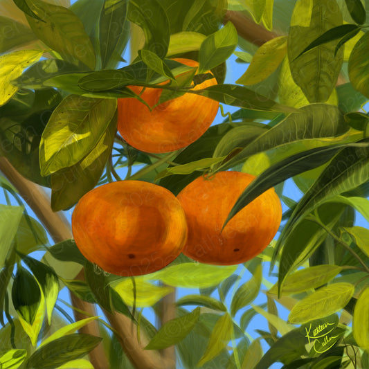 Oranges - Giclee Art Print