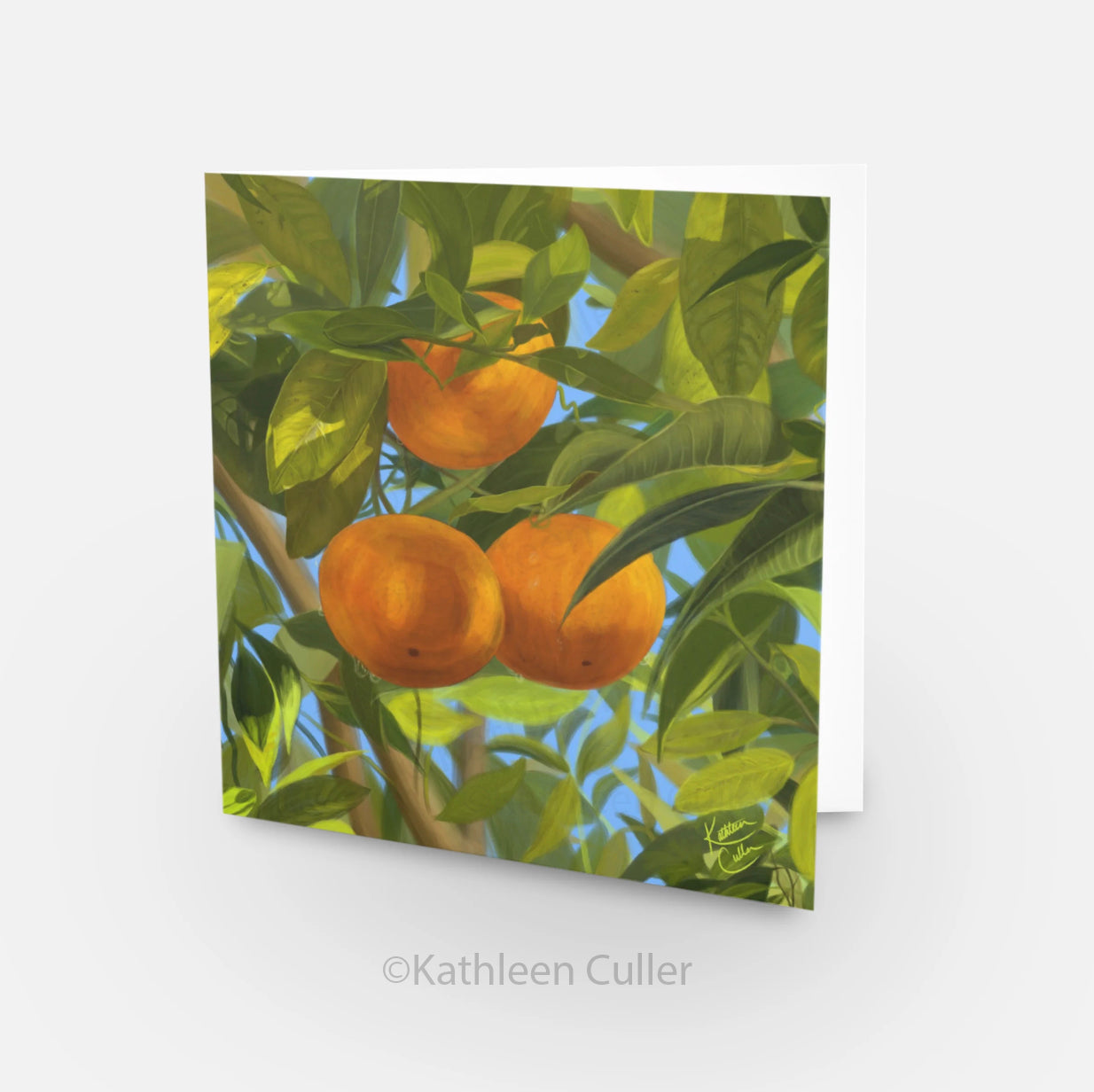Oranges - Art Greeting Card