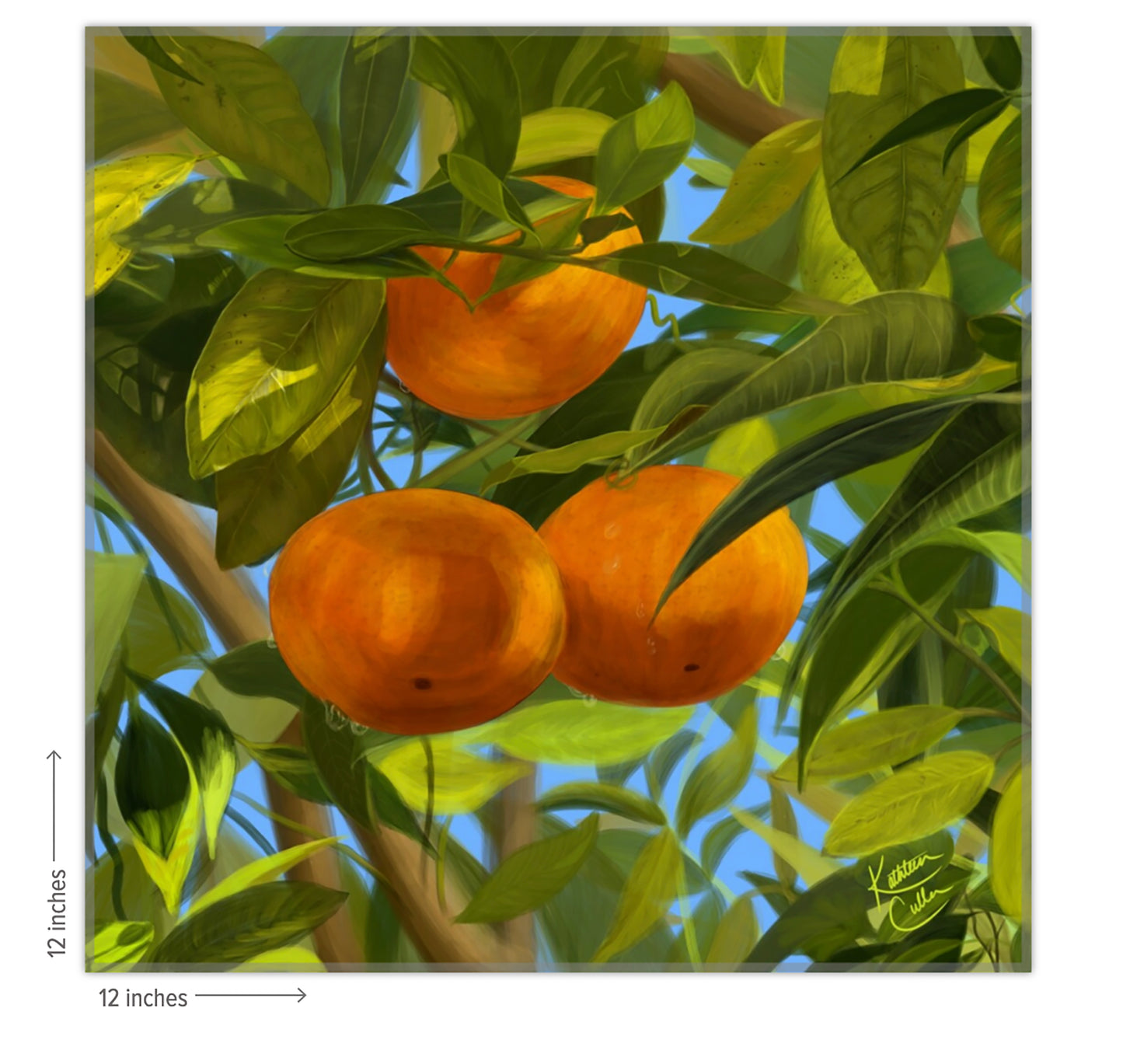 Oranges - Giclee Art Print