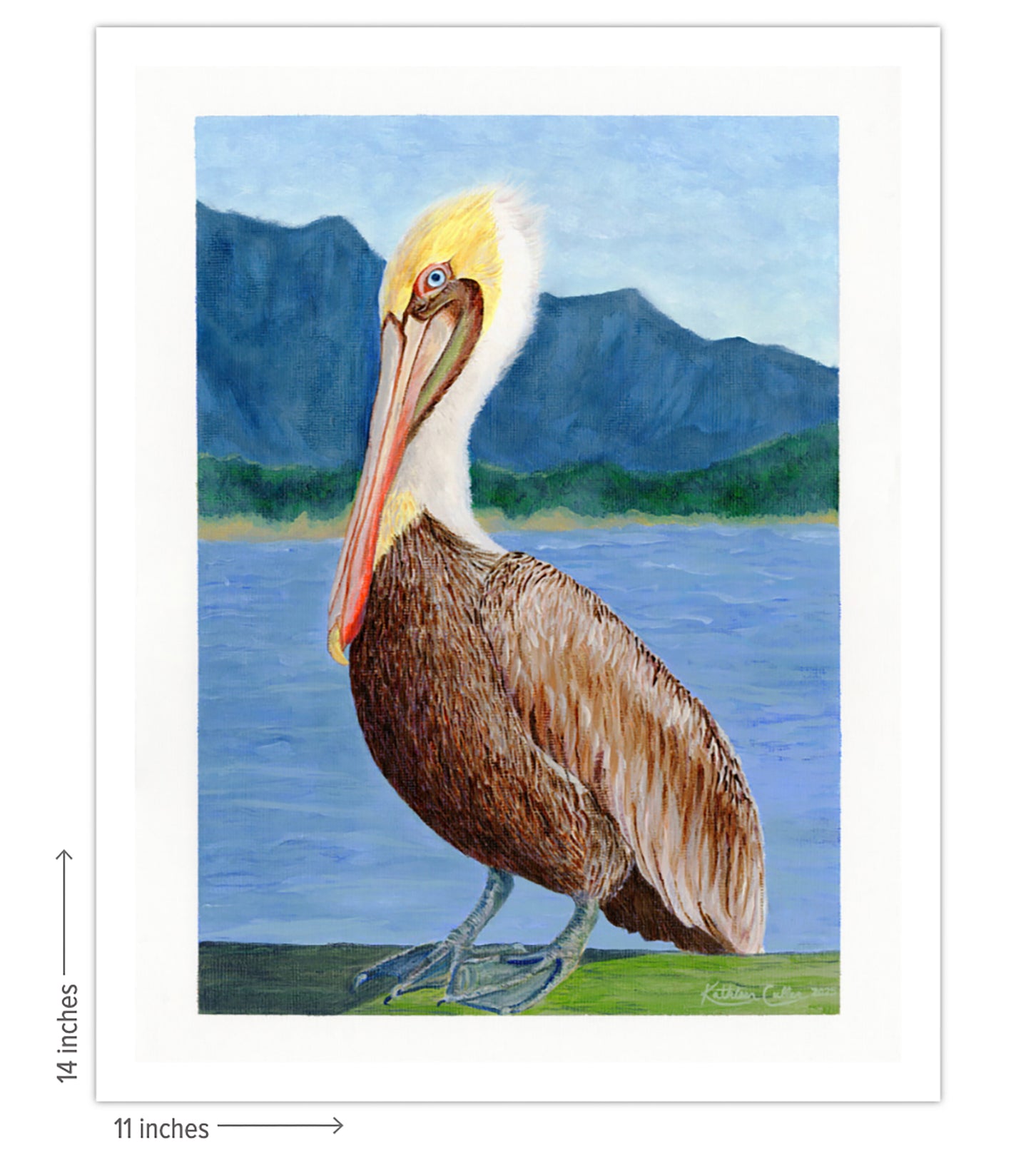 Pinocchio Pelican - Giclee Art Print