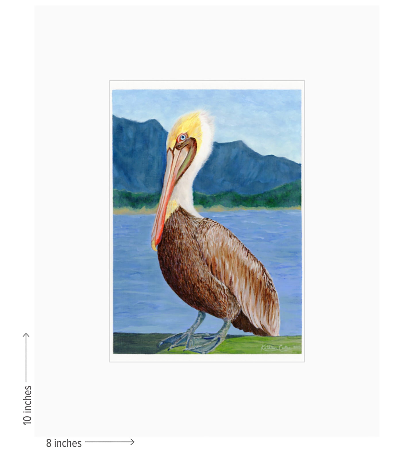 Pinocchio Pelican - Giclee Art Print
