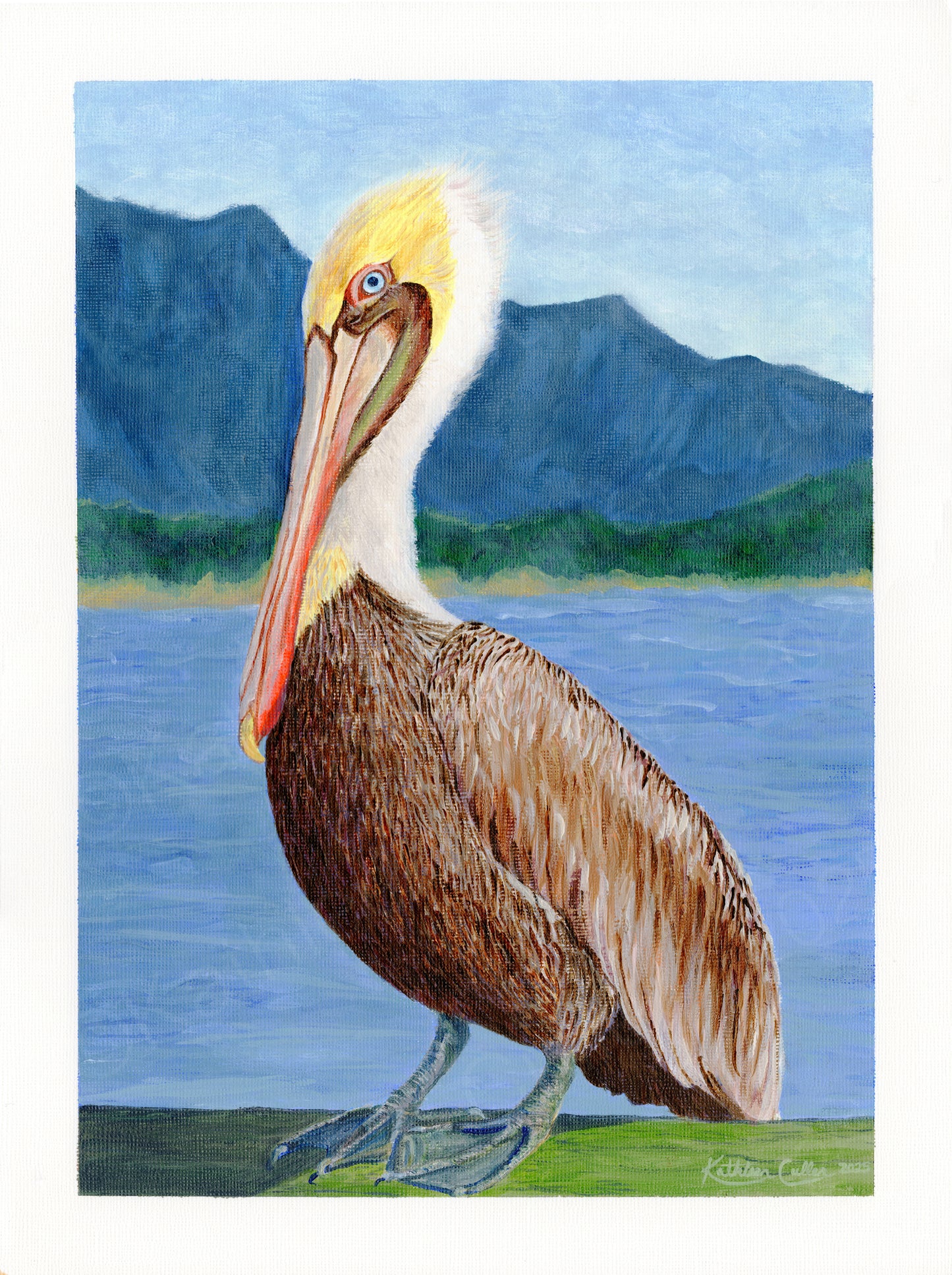 Pinocchio Pelican - Giclee Art Print