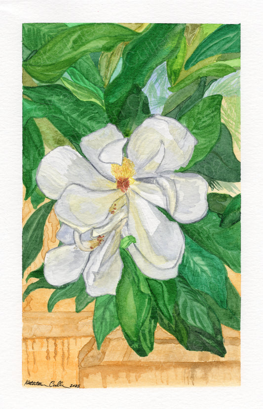 Magnolia - Giclee Art Print